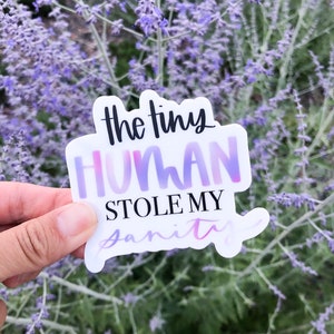 May include: A white sticker with a rainbow gradient background. The sticker says "The tiny human stole my sanity".