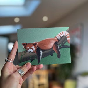 Cartão de felicitações do panda vermelho