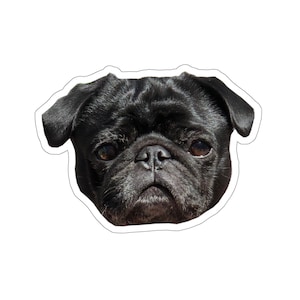 Black Pug Stickers