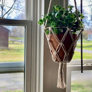 May include: A hanging macrame plant holder with a terracotta pot filled with green and white leafy plants. The macrame is cream-colored with a tassel at the bottom. The plant holder is suspended in front of a window.