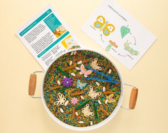 Butterfly Sensory Kit, Award winning kits, Learn about Butterfly lifecycles, Kids Messy And Pretend Play, Tuff Tray