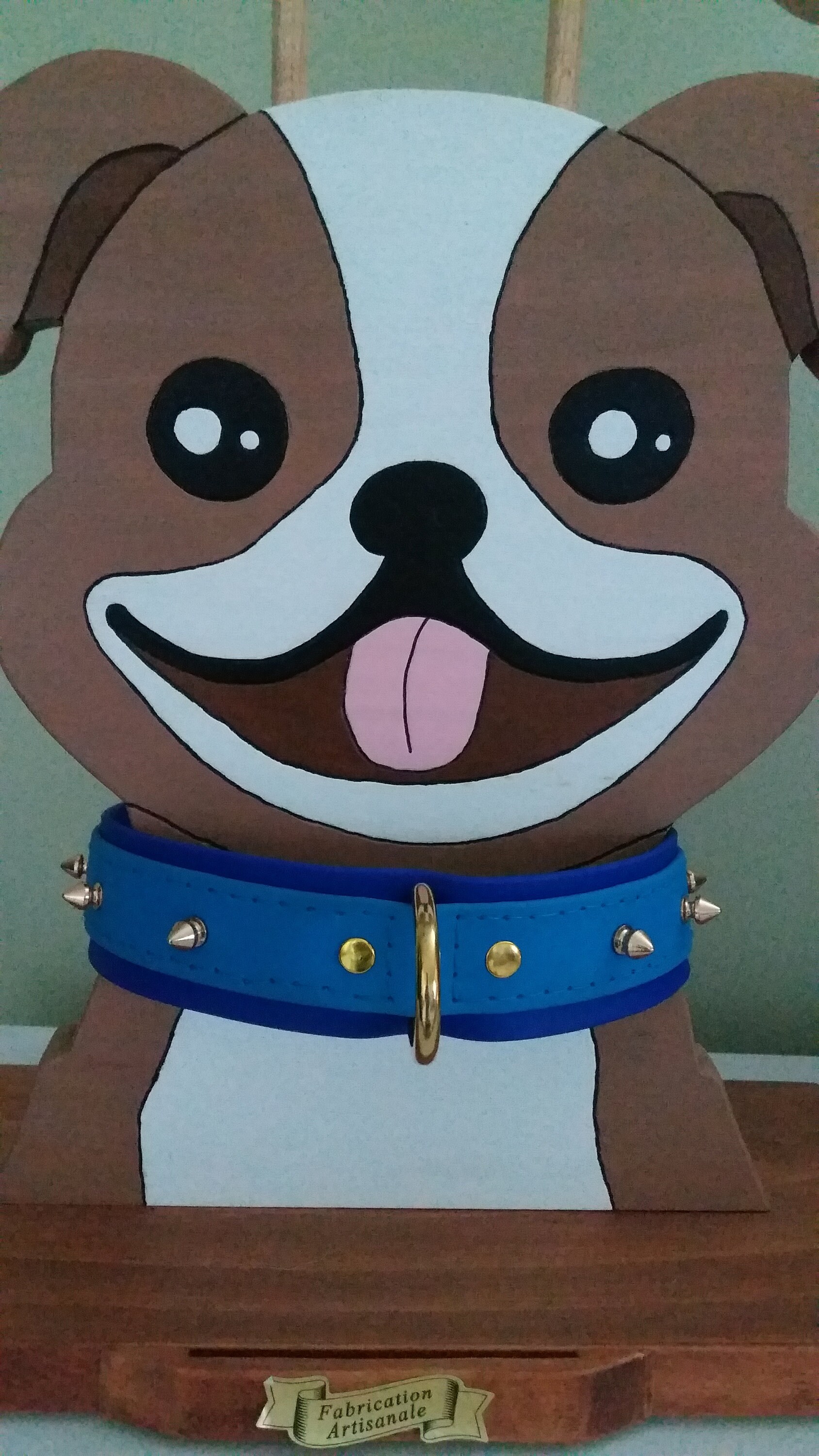 Collier Biothane 2 Couleurs