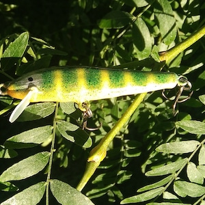 Handmade Fishing Lure Minnow Plug floating/diving wood jerkbait