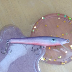 Fishing Lure Handmade Minnow Plug Floating/Diving Wood Jerkbait