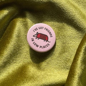 May include: A round, light pink button with the text "I'VE GOT FRIENDS IN LOW PLACES" encircling a cartoon armadillo illustration. The armadillo is red and brown. The button is set against a green, textured background.