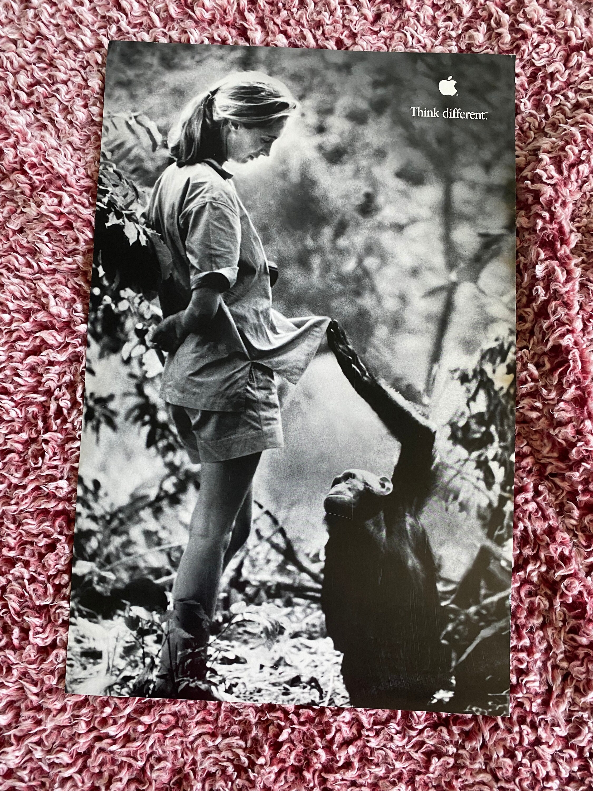 Jane Goodall think different poster | Etsy