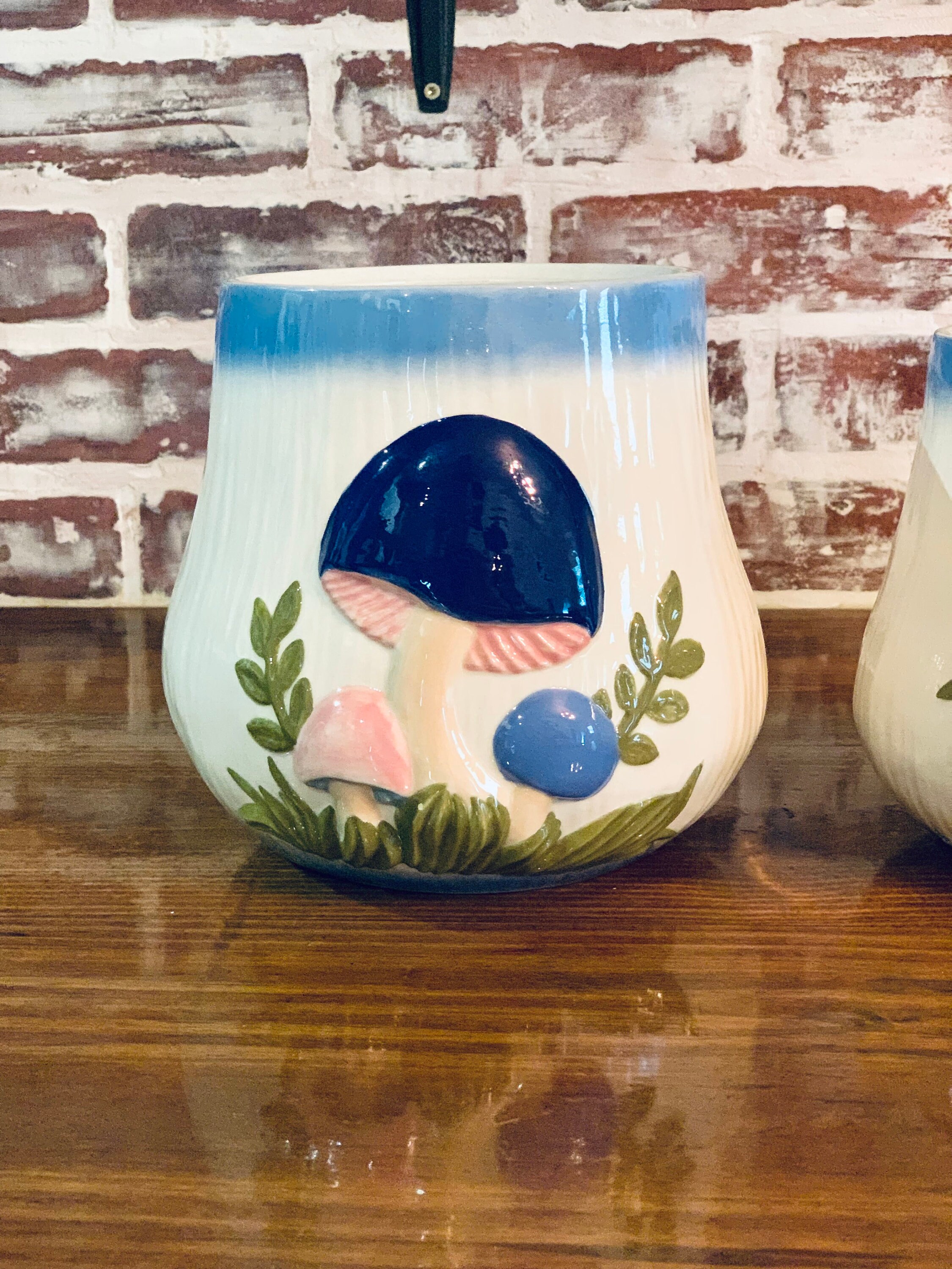 Vintage Mushroom Canister Set of 2 / Blue Pink White Mushrooms Etsy