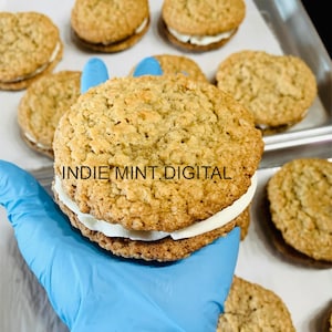 Torta alla crema di farina d'avena Ricetta per biscotti Gourmet Treat Dessert Home Baker Cottage Business Cucina domestica