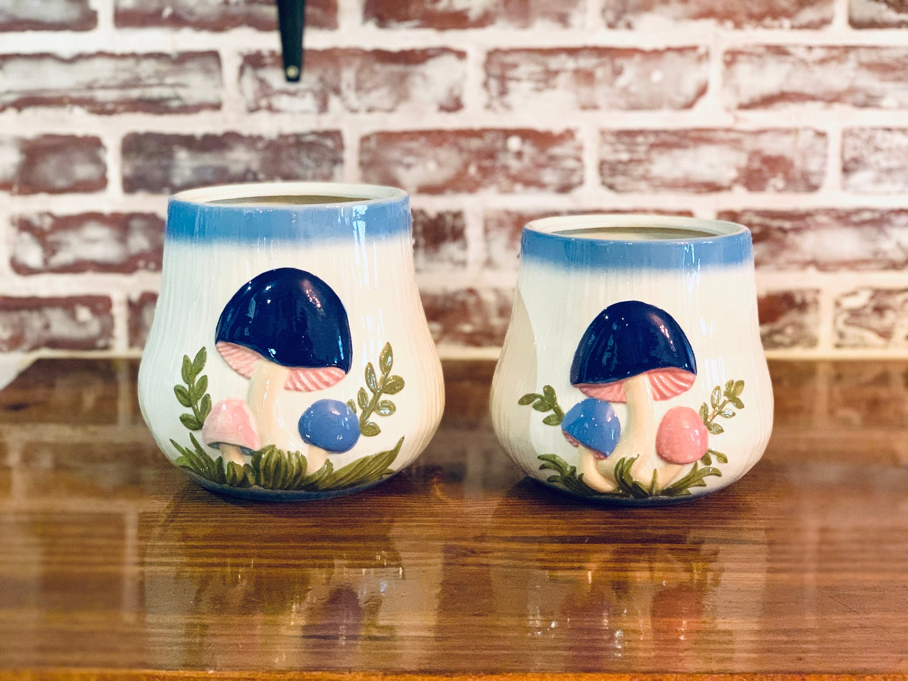Vintage Mushroom Canister Set of 2 / Blue Pink White Mushrooms Etsy