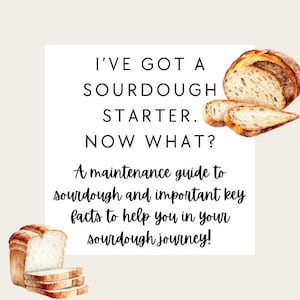 Sourdough Starter Maintenance Maintain Guide How To Trouble Shooting Bread Baking Problem Solving Cooking Homestead Farm Bakery Business