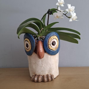 May include: A ceramic owl planter with blue and yellow accents, holding a flowering orchid. The owl planter has a textured, off-white body, brown beak, and feet. The orchid has green leaves and white flowers.