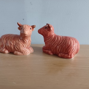 May include: Two ceramic Highland cow salt and pepper shakers. The figurines are a reddish-brown colour, with detailed fur texture and small horns. They are in a seated position. The shakers are on a wooden surface.