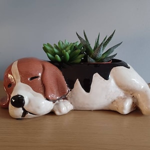 May include: A ceramic beagle dog planter, painted in brown, black and white. The dog-shaped pot contains two small green succulents. The planter is resting on a wooden surface.