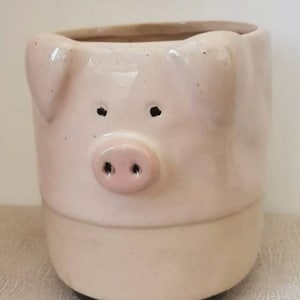 PIG Ceramic Planter Plant Pot By Pot Pals Gift Ornament MEDIUM 12 X 10cm Free UK Postage