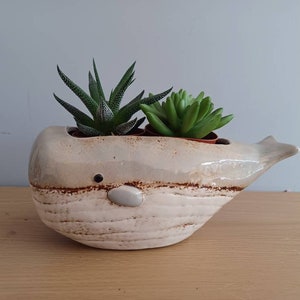 May include: A cream and brown ceramic whale-shaped planter, containing two small succulents. The planter has a textured finish and a small, white, oval detail. The succulents are green, with one showing a speckled pattern.