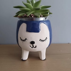 May include: A quirky, blue and white ceramic planter shaped like a cartoon animal with closed eyes and a small black nose. The planter holds a green succulent plant. The planter is approximately 13 cm tall.