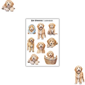 Feuille d'autocollants Goldendoodle | Feuille d'autocollants pour chien | Jolie feuille d'autocollants | Bullet Journaling | Bujo | Stickers agenda