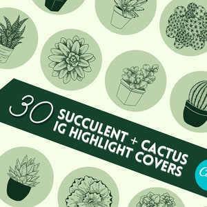 Sukkulenten Kaktus Instagram Highlight Covers Gartenmädchen Ästhetische Pflanze Small Business Brandimb Social Media Marketing IG Grün PNG Icons