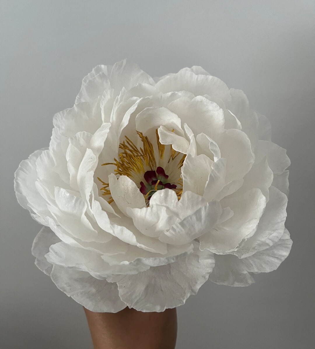Wafer Paper Flower, Peony Etsy