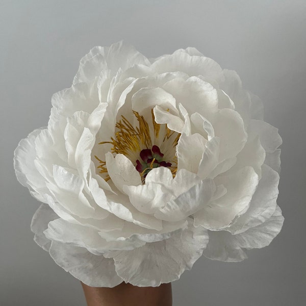 Fleur en papier gaufré, pivoine