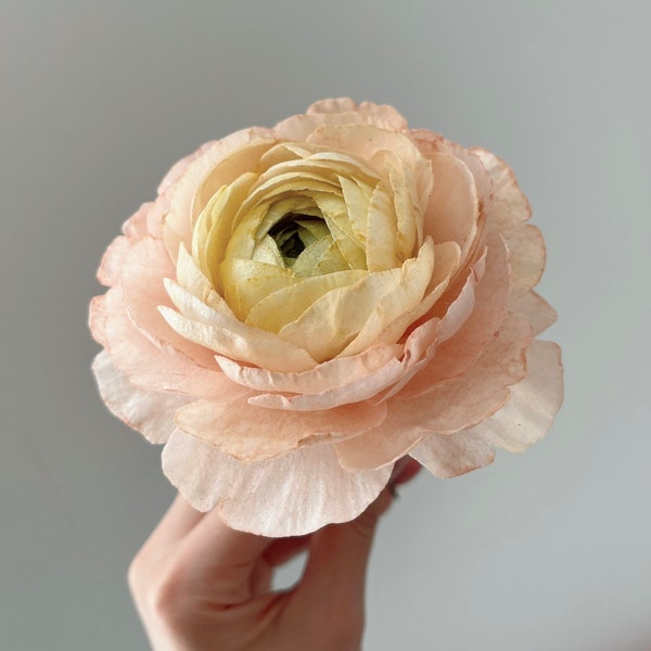 Wafer Paper flowers, Ranunculus