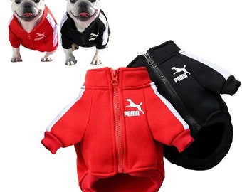 Sweatshirt | Dog clothes for small medium dogs, puppy, Sporty jacket, Pomu sports