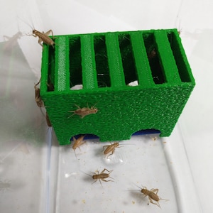 Cricket House | Textured Shelter for Feeder Insects, Leopard Gecko, Reptiles | Compatible With Cricket Food and Water Holder