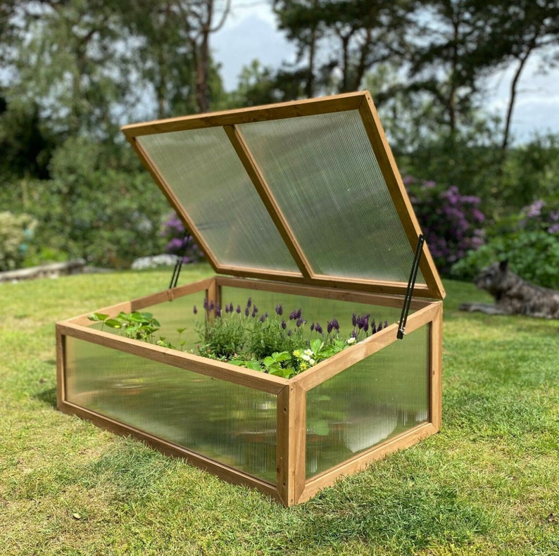 Mini Greenhouse Cold Frame Wooden Framed Polycarbonate 100cm Etsy UK