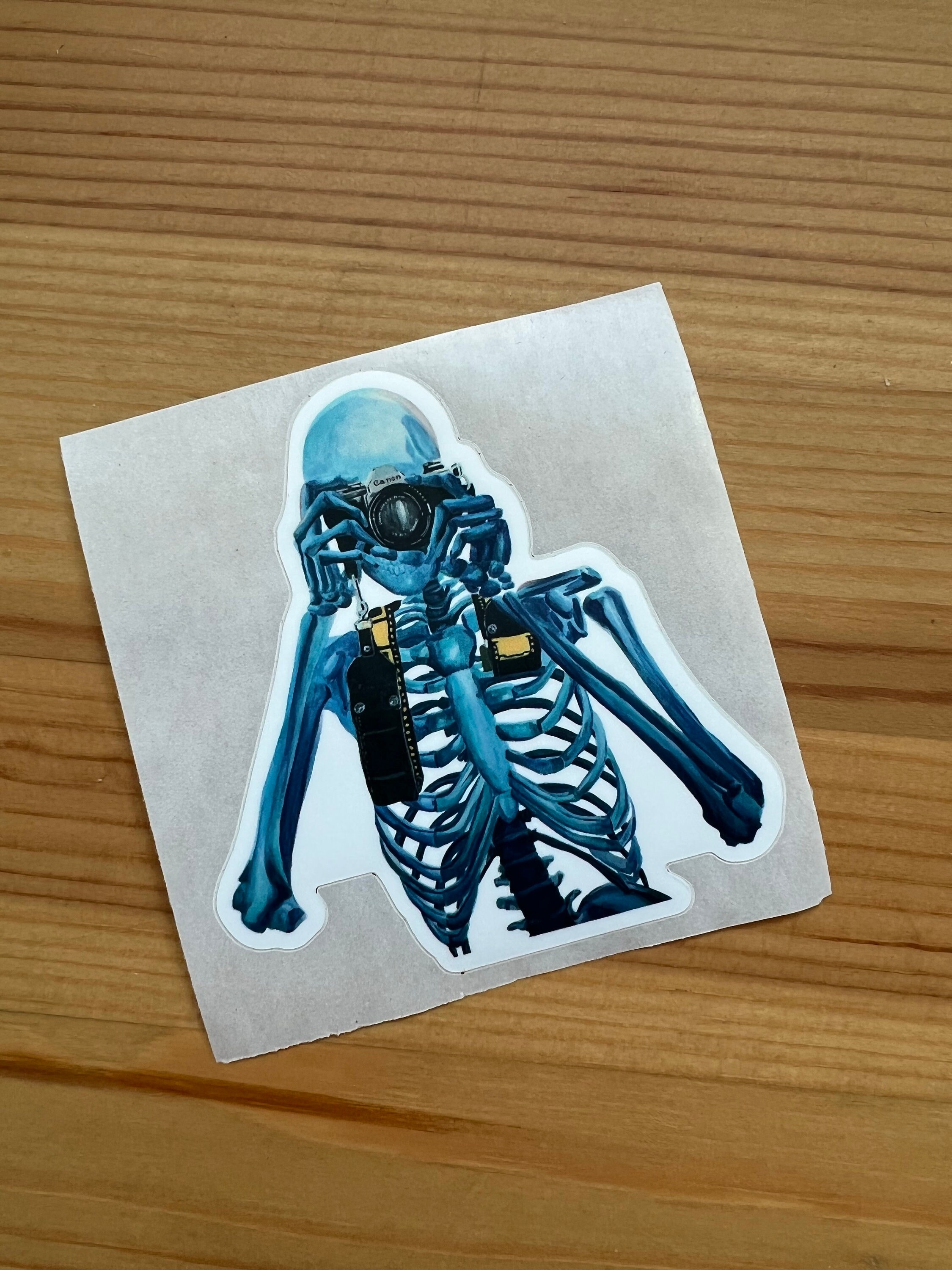 Skeleton Shells Sticker Skeleton Photographer Vinyl Sticker - Hand Painted Waterproof Decal - Etsy