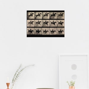 Colección de locomoción animal de Eadweard Muybridge, póster impreso, fotografía artística en movimiento, tamaño A5-A1, arte de pared, decoración vintage