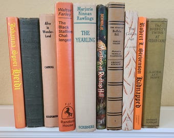 10 pc Lot Vintage Youth & Family Books ~ Yearling, Mystery, Bobbsey, Black Stallion, Buffalo Bill, Heidi, Classics, Rustic Decor, Cabin Etc.