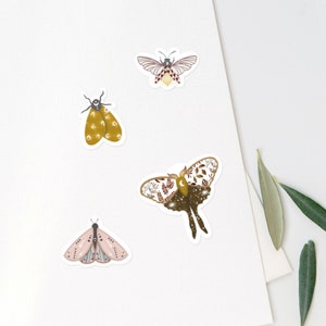 May include: Four colorful moth stickers with intricate details. The stickers feature a variety of colors and patterns, including brown, yellow, pink, and white.