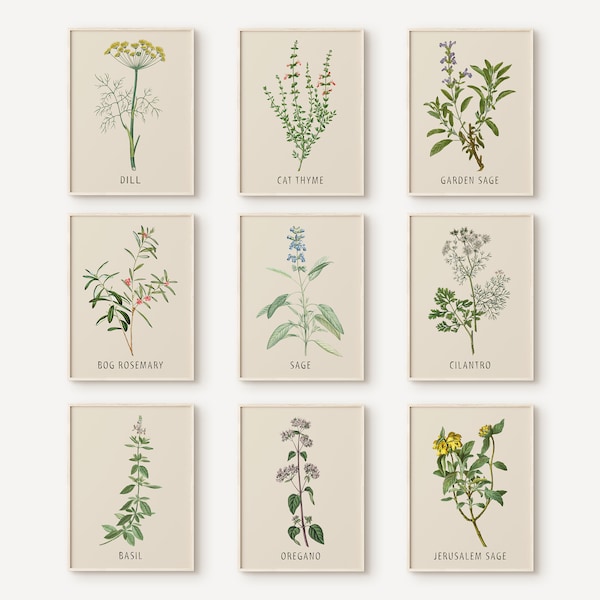 Set Of 9 Herb Prints, Botanical Print Set, Kitchen Wall Art, Watercolor Herb Set, Oregano Sage Rosemary Basil, Digital Download