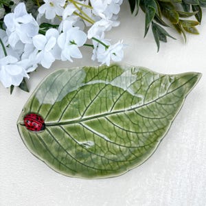 Pu&ograve; includere: Un piatto in ceramica a forma di foglia verde con una finitura lucida e venature visibili. Una piccola coccinella rossa tridimensionale con punti neri &egrave; attaccata sul lato sinistro della foglia. Il piatto &egrave; posizionato sotto fiori bianchi.