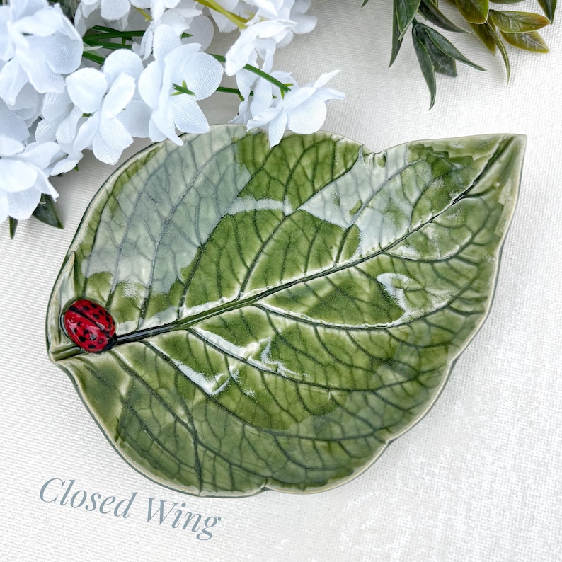 Pu&ograve; includere: Un piatto in ceramica a forma di foglia con una smaltatura verde lucida e dettagli venati scuri visibili. Una piccola coccinella rossa tridimensionale con punti neri &egrave; fissata sul lato sinistro della foglia. Il testo "Closed Wing" &egrave; stampato sotto.