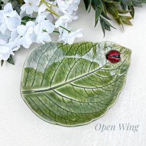 Pu&ograve; includere: Un piatto in ceramica a forma di foglia con smalto verde lucido, venature dettagliate e una piccola coccinella rossa e nera tridimensionale appoggiata sul bordo. Il testo Open Wing &egrave; stampato nell'angolo in basso a destra dell'immagine.