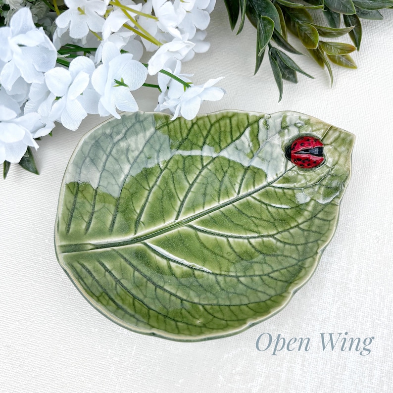 Pu&ograve; includere: Un piatto in ceramica a forma di foglia con smalto verde lucido, venature dettagliate e una piccola coccinella rossa e nera tridimensionale appoggiata sul bordo. Il testo Open Wing &egrave; stampato nell'angolo in basso a destra dell'immagine.