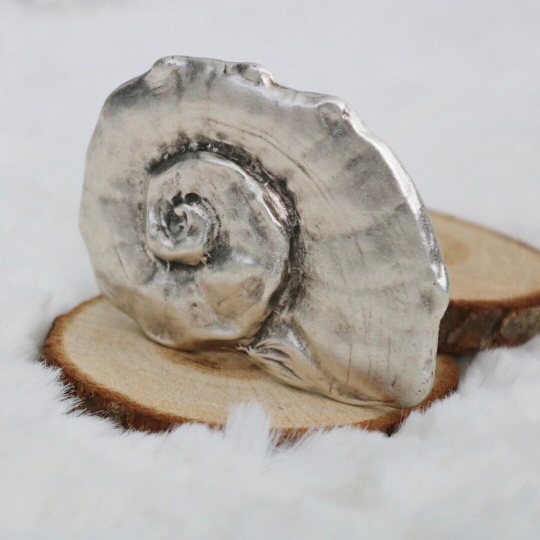 Shell Belt Buckle, Silver Seashell Belt Buckle, Buckle for Snap Leather ...