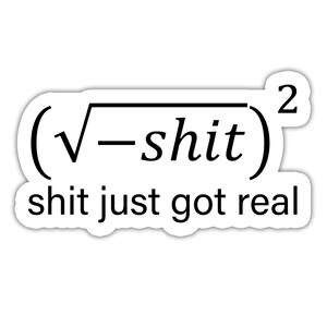 Shit Just Got Real - Vinyl Sticker