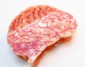 Brain Hair Claw - STEM Neuroscience Hair Accessories - Single Hair Clip