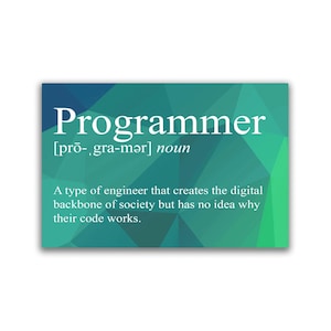 Programmer Snarky Definition - 2x3 Magnet
