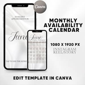 Monthly Availability Calendar Instagram Story, Instagram Story Schedule Template, Available Appointments Calendar, Editable Canva Template