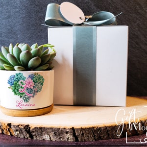 Regalo de carta de ramo suculento personalizado / Color personalizado / Suculento en vivo / Aniversario, Vacaciones, Cumpleaños, Día de la madre, Maestro, Amigo