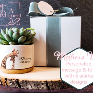 Personalized Mother&#39;s Day Succulent Gift | Custom Color | Live Succulent | Anniversary, Holiday, Birthday, Congratulations, Teacher, Friend
