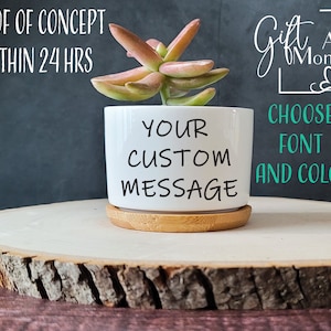 Custom Text Succulent Gift | Custom Color | Live Succulent | Anniversary, Holiday, Birthday, Congratulations, Teacher, Friend
