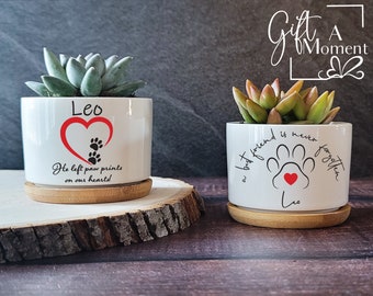 Personalized Pet Loss Succulent Gift | Pet Memorial | Cat Loss | Dog Loss | Pet Bereavement Gift | Pet Sympathy Gift | Pet Dedication