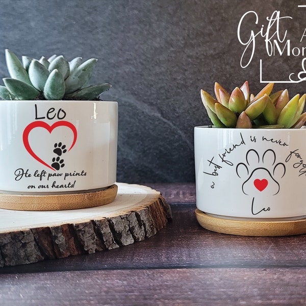 Personalized Pet Loss Succulent Gift | Pet Memorial | Cat Loss | Dog Loss | Pet Bereavement Gift | Pet Sympathy Gift | Pet Dedication