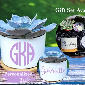 Initials Succulent Gift | Personalized Ceramic Planter |  Birthday Gift Box | Gift Box | Live Succulent | Housewarming