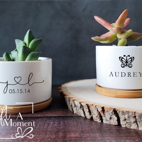 Personalized Minimalist Succulent Gift Box | Live Succulent | Anniversary, Holiday, Birthday, Congratulations, Teacher, Friend