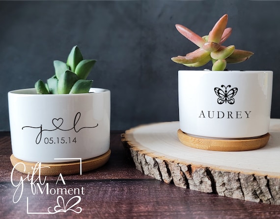 Personalized Minimalist Succulent Gift Box | Live Succulent | Anniversary, Holiday, Birthday, Congratulations, Teacher, Friend